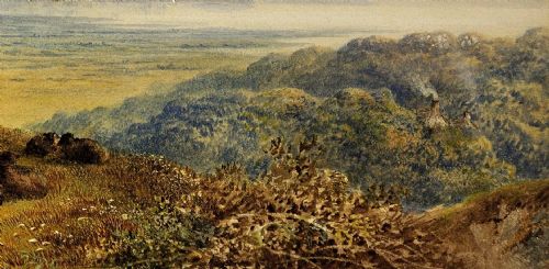 CORNELIUS PEARSON 1805 1891 CRYMLYN BOG AND NEATH RIVER ESTUARY SWANSEA BAY 1872 WALES FRAMED WATERCOLOUR PAINTING AFON NEDD BAE ABERTAWE CYMRU - ADDITIONAL PHOTO 10