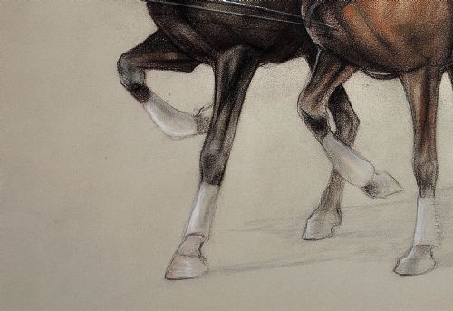 CECIL CHARLES WINDSOR ALDIN 1870 1935 TROTTING HORSES HARNESSED TO A LIGHTWEIGHT FOUR WHEEL CART TRAP WALNUT FRAMED CHALK DRAWING - ADDITIONAL PHOTO 8