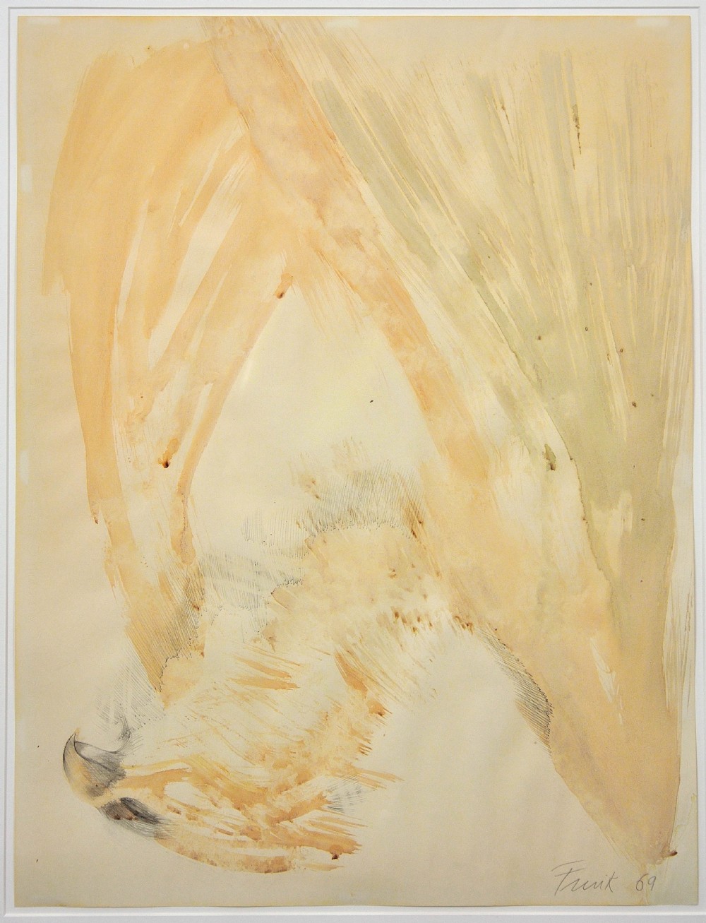 A framed watercolour painting depicting a stylized hawk in flight using beige, brown, and grey fluid brushstrokes, signed and dated Frink 69 at the bottom right. View II