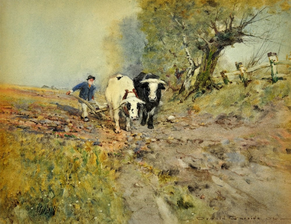 Framed Edwardian watercolour painting by Oswald Garside depicting two cattle pulling a plough through a field alongside a farm worker, presented in a light cream frame. View II