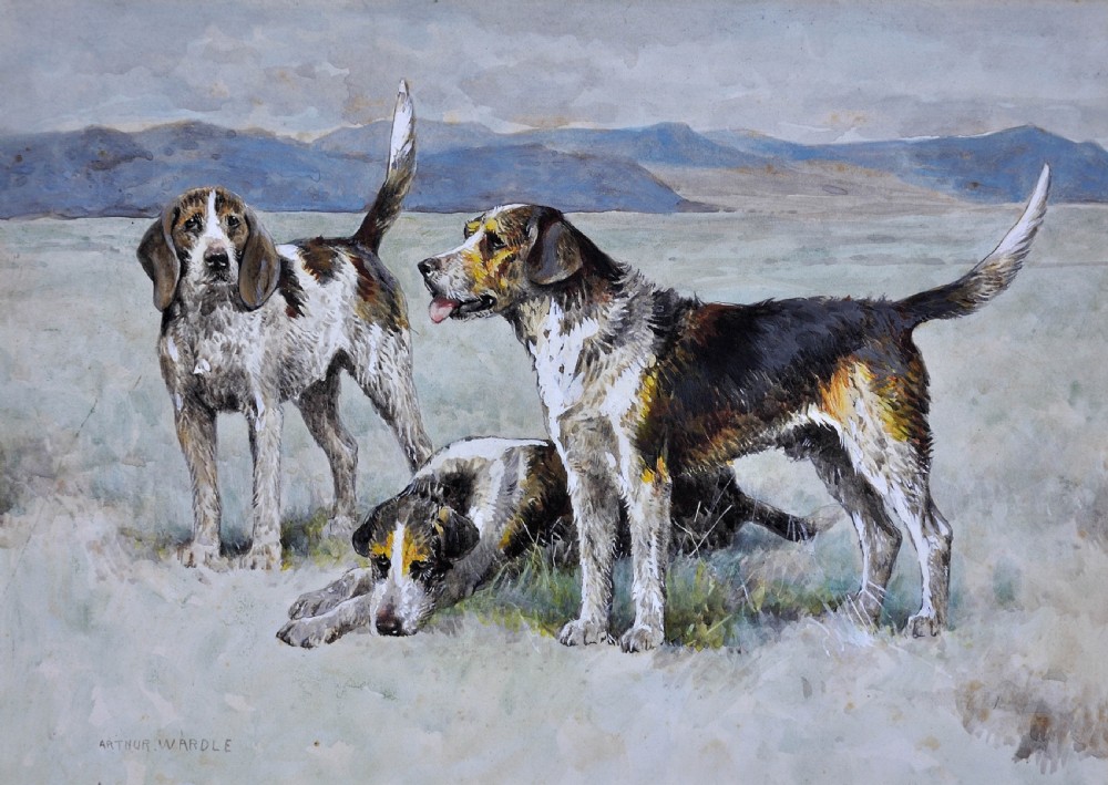 A framed watercolour painting by Arthur Wardle depicting three Welsh hounds in a wide landscape setting inside a gold gilt frame. View II