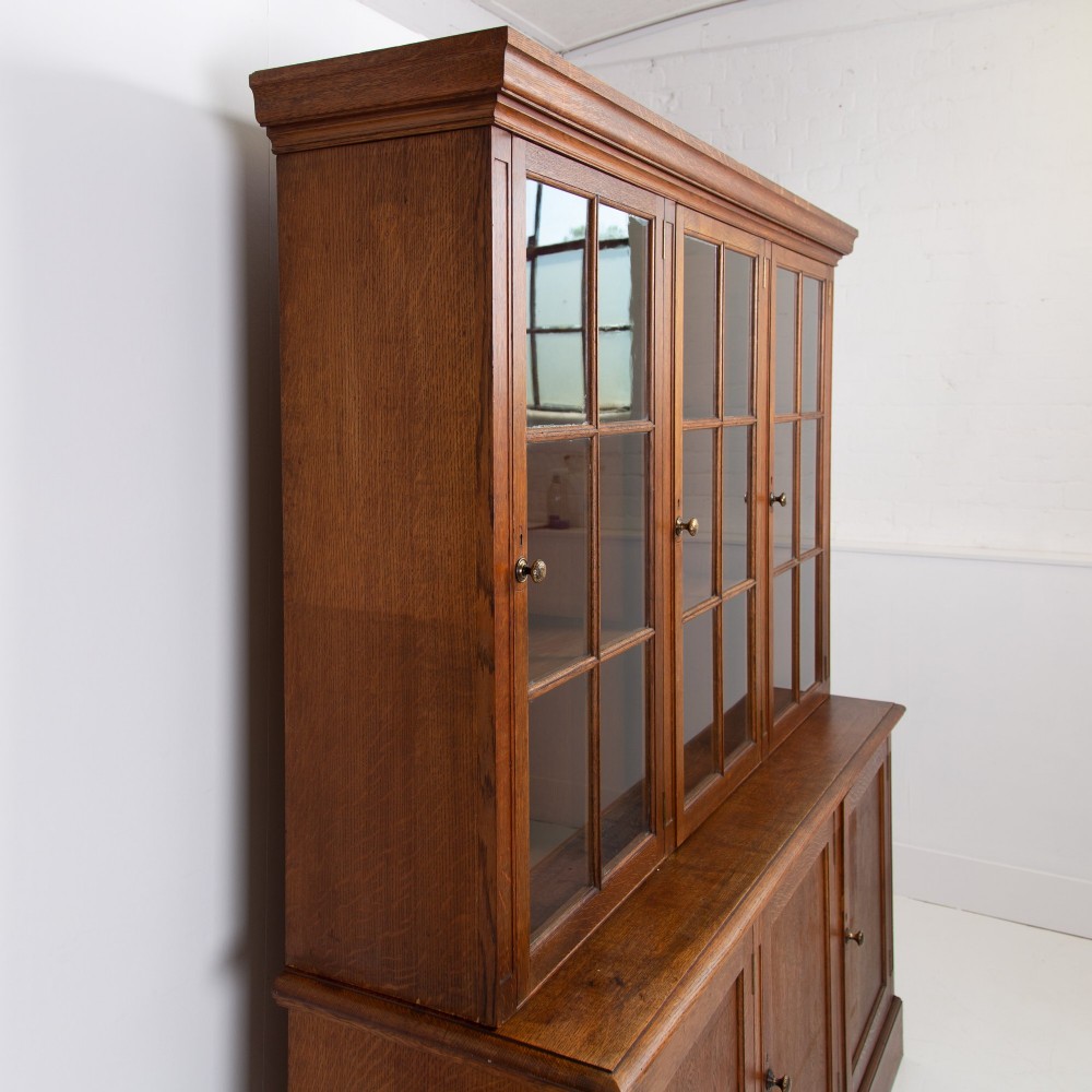 Golden Oak Glazed School Cabinet C1920 View II