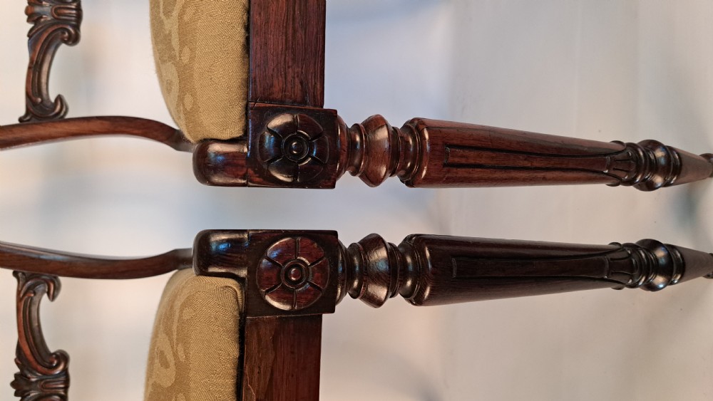 Four Regency Rosewood Chairs View V