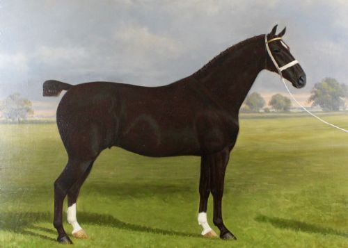 PAIR OF STALLION MARE HACKNEY CHAMPION OIL PAINTINGS BY WA CLARK - ADDITIONAL PHOTO 5