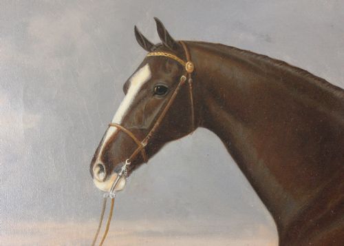 PAIR OF STALLION MARE HACKNEY CHAMPION OIL PAINTINGS BY WA CLARK - ADDITIONAL PHOTO 9