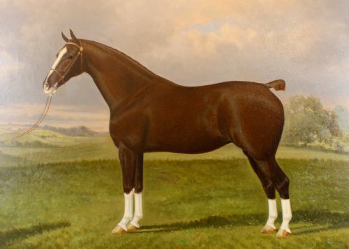 PAIR OF STALLION MARE HACKNEY CHAMPION OIL PAINTINGS BY WA CLARK - ADDITIONAL PHOTO 10