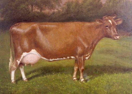 STAGENHOE ROSE OF GOLD OIL PAINTING BY WA CLARK DATED 1915 - ADDITIONAL PHOTO 4