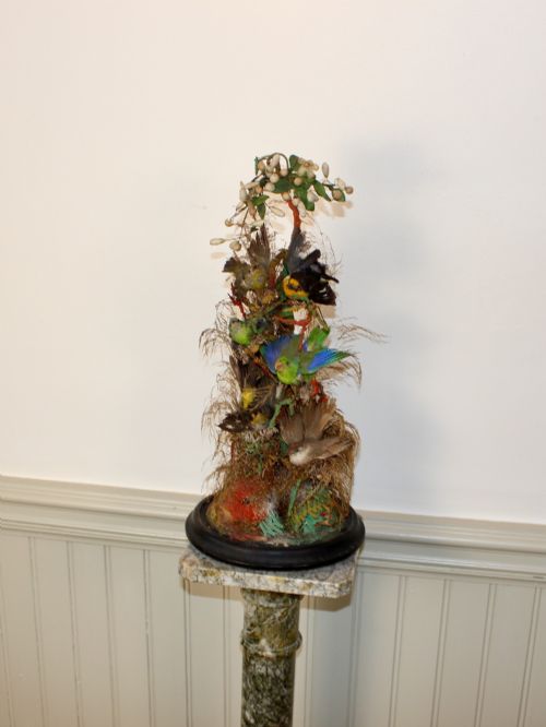 VICTORIAN TAXIDERMY COMPOSITION OF SIX COLOURFUL BIRDS - ADDITIONAL PHOTO 1