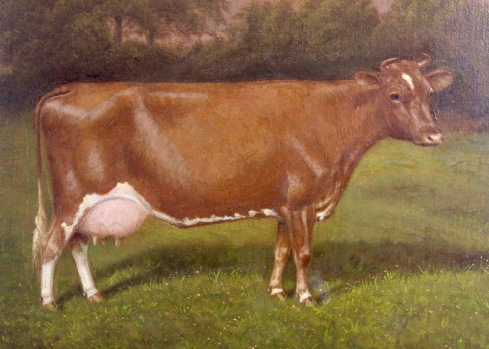An Edwardian oil painting depicts a brown cow standing in a grassy field before trees, presented within a wide figured maple wood frame with a gold slip. View V