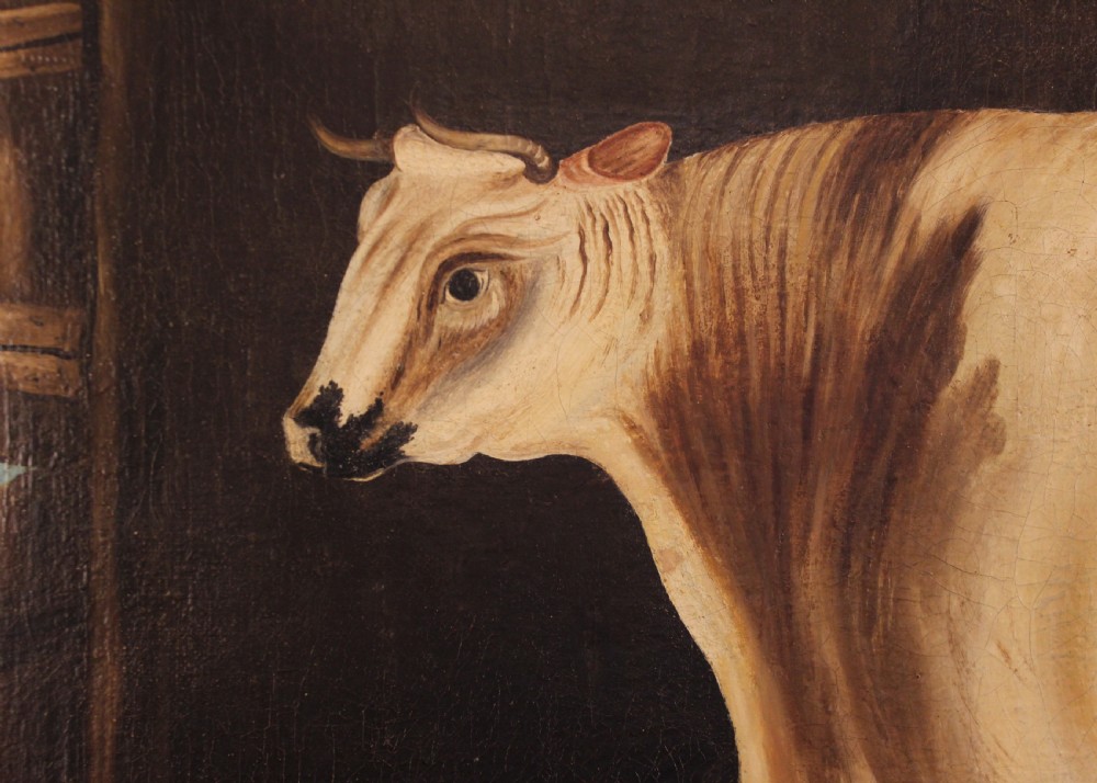 A 19th-century naive oil painting depicting a white and brown cow standing inside a dark stable framed in a gilded timber frame. View III