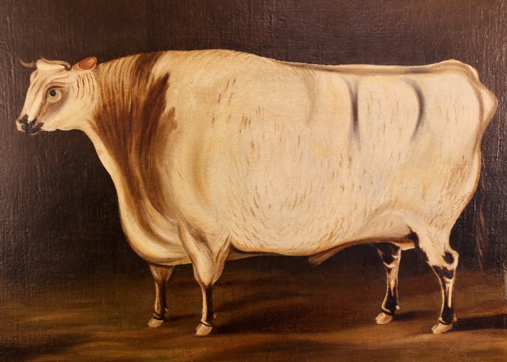 A 19th-century naive oil painting depicting a white and brown cow standing inside a dark stable framed in a gilded timber frame. View IV