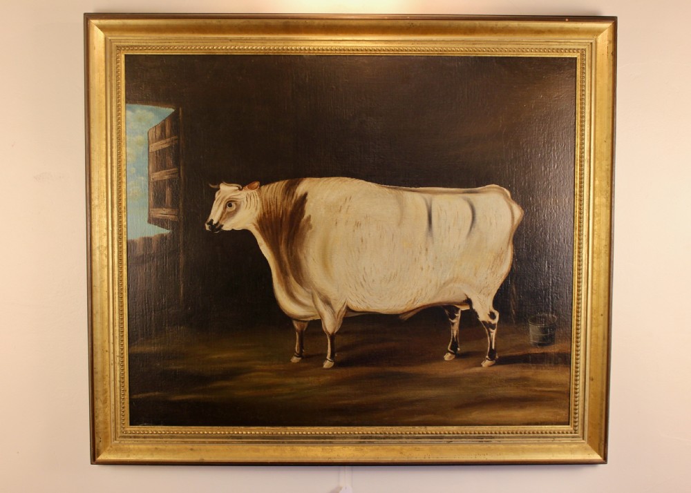 A 19th-century naive oil painting depicting a white and brown cow standing inside a dark stable framed in a gilded timber frame. View V