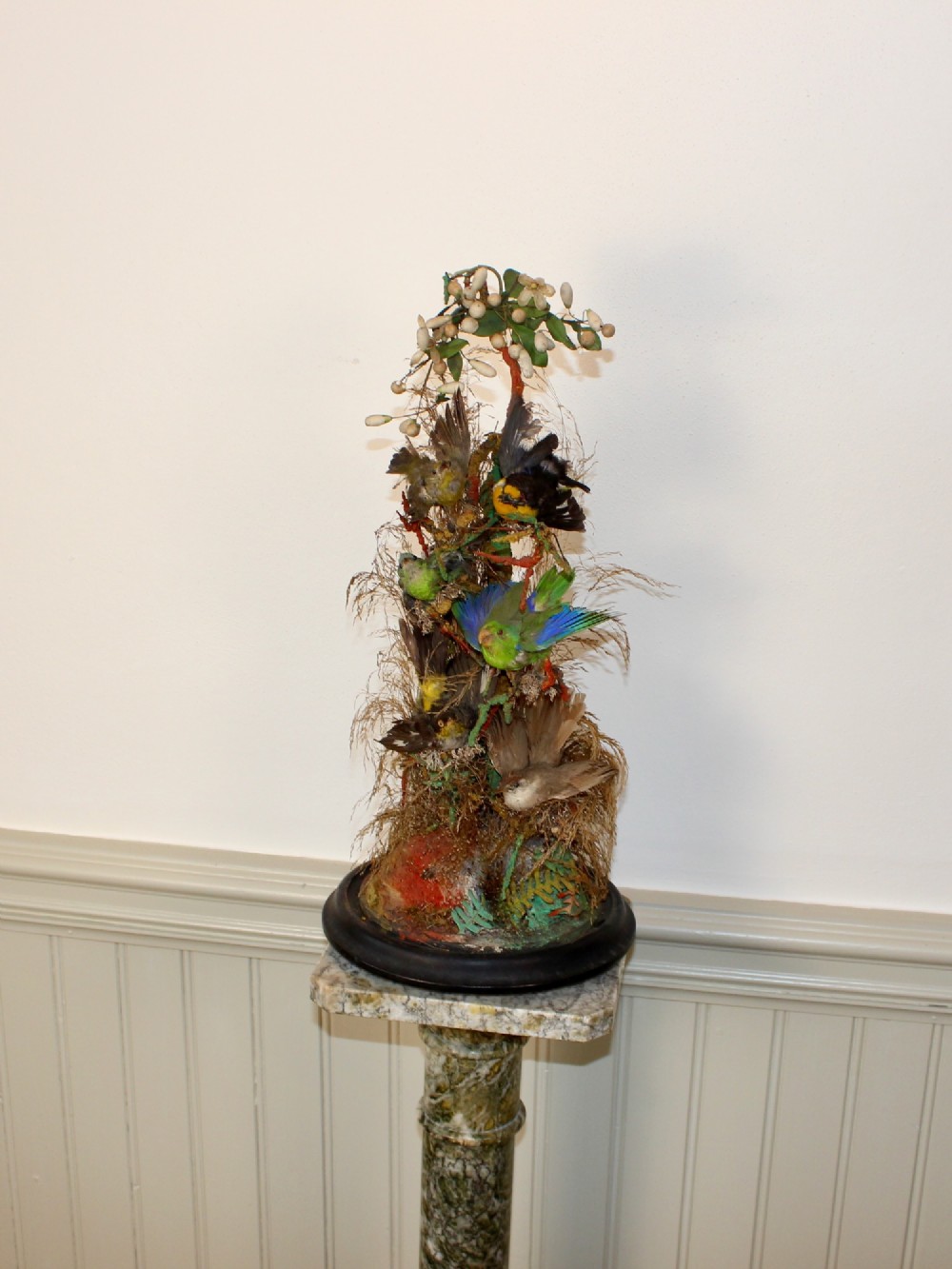Victorian glass dome displaying six small colourful preserved birds perched on natural foliage and branches mounted on a dark ebonised circular base. View II