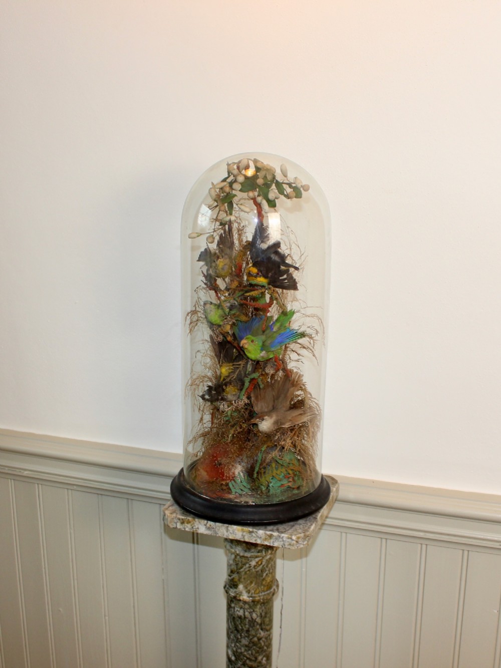 Victorian glass dome displaying six small colourful preserved birds perched on natural foliage and branches mounted on a dark ebonised circular base. View VI