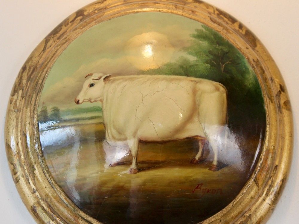 19th Century Naive White Shorthorn Cow Oil Painting On Curved Surface Signed Byron View III