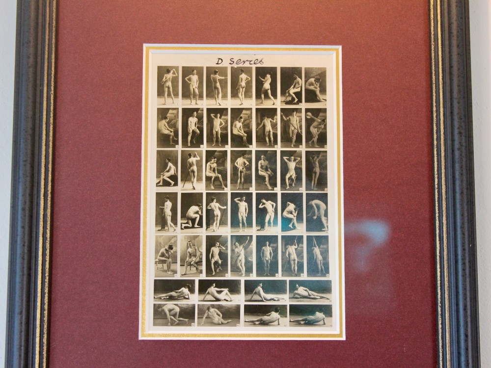 A framed 1920s monochrome photographic contact sheet displaying multiple male nude poses, mounted on burgundy card within a dark timber frame with gilt detailing. View IV