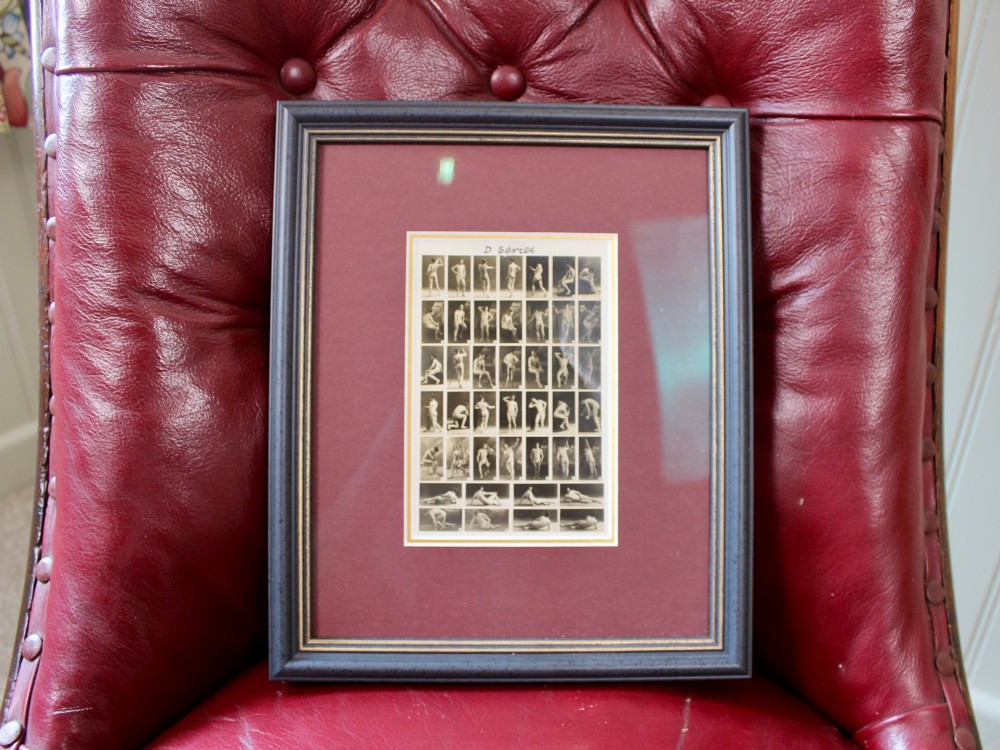 A framed 1920s monochrome photographic contact sheet displaying multiple male nude poses, mounted on burgundy card within a dark timber frame with gilt detailing. View VI