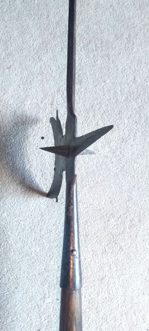 ANTIQUE IRON HALBARD - ADDITIONAL PHOTO 2