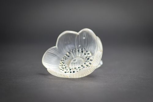 Rene Lalique Anemone Referme Flower Paperweight