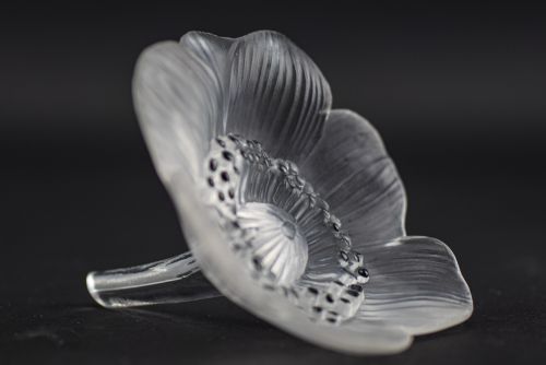 Rene Lalique Anemone Ouverte Flower Paperweight