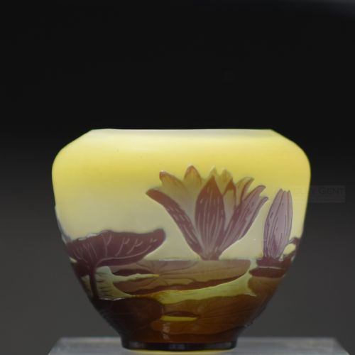 Galle Cameo Glass Aquatic Vase