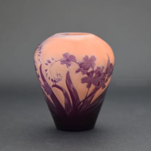 Galle Cameo Glass Floral Vase C1900