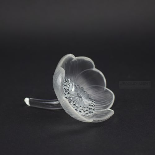 Rene Lalique Anemone Flower Paperweight