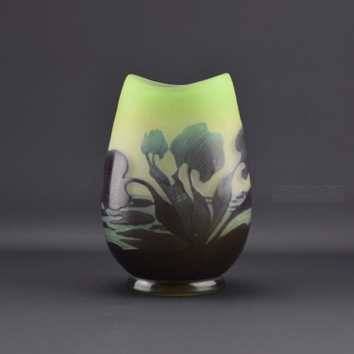 Emile Galle Aquatic Vase C1900