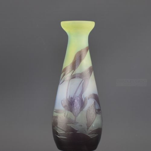 Good Size Emile Galle Aquatic Cameo Glass Vase C1910