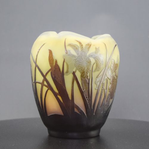 Galle Cameo Glass Iris Vase C1908