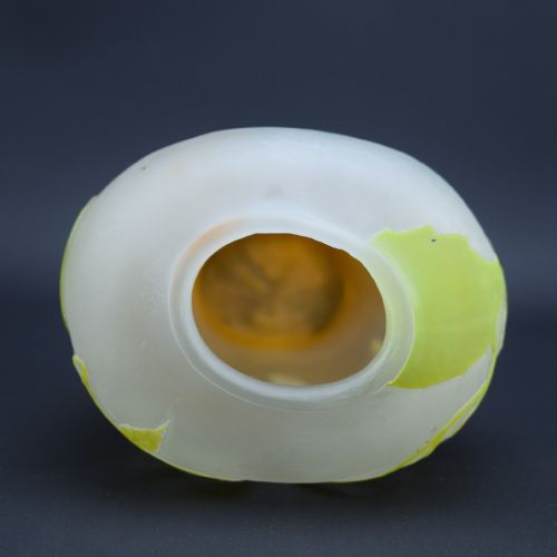 GALLE CAMEO GLASS SYCAMORE VASE C1908 - ADDITIONAL PHOTO 6
