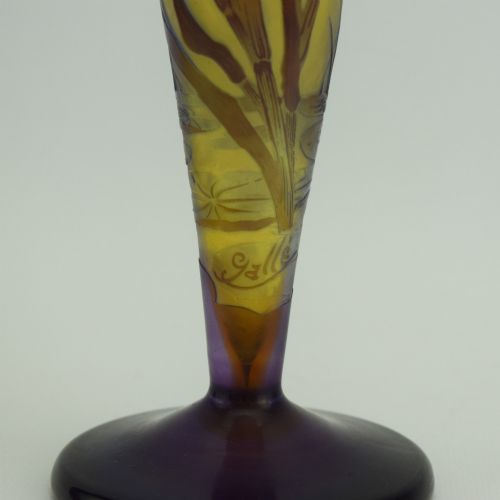 GALLE CAMEO GLASS AQUATIC IRIS VASE C1908 - ADDITIONAL PHOTO 7