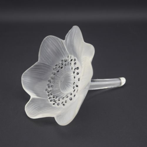 Rene Lalique Anemone Ouverte Flower Paperweight C1931