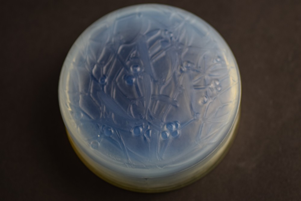 Rene Lalique Opalescent Gui box