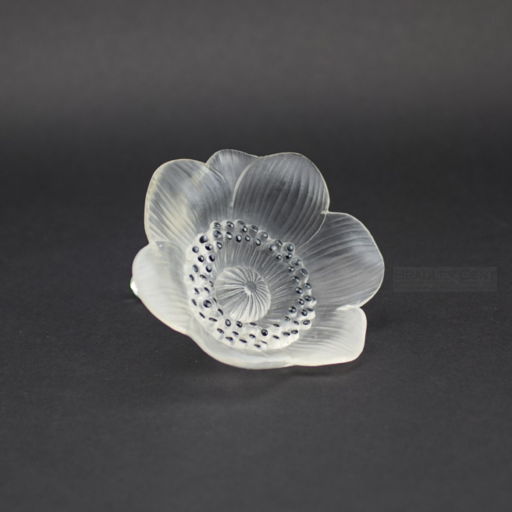 Rene Lalique Anemone flower paperweight C1931