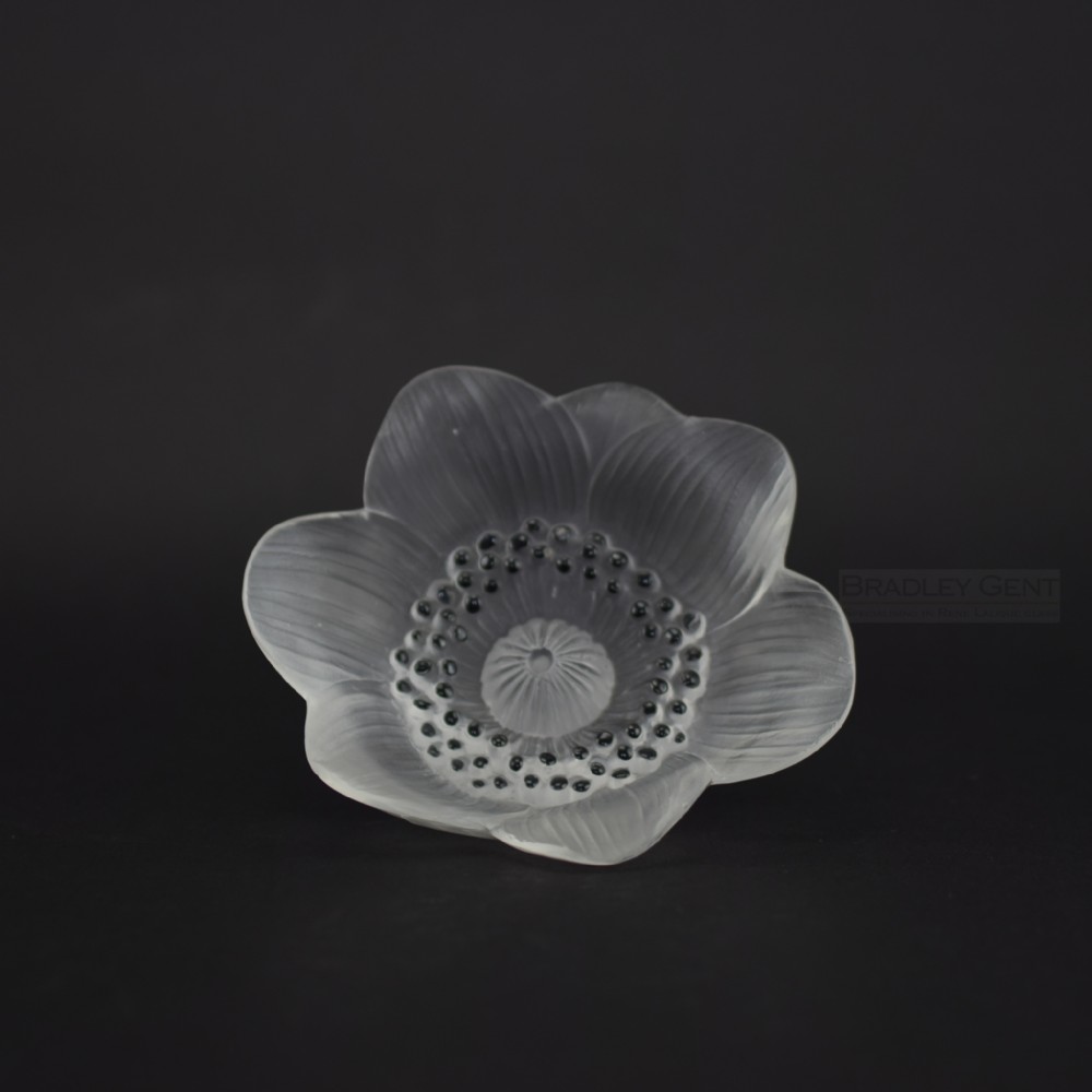 Rene Lalique Anemone flower paperweight