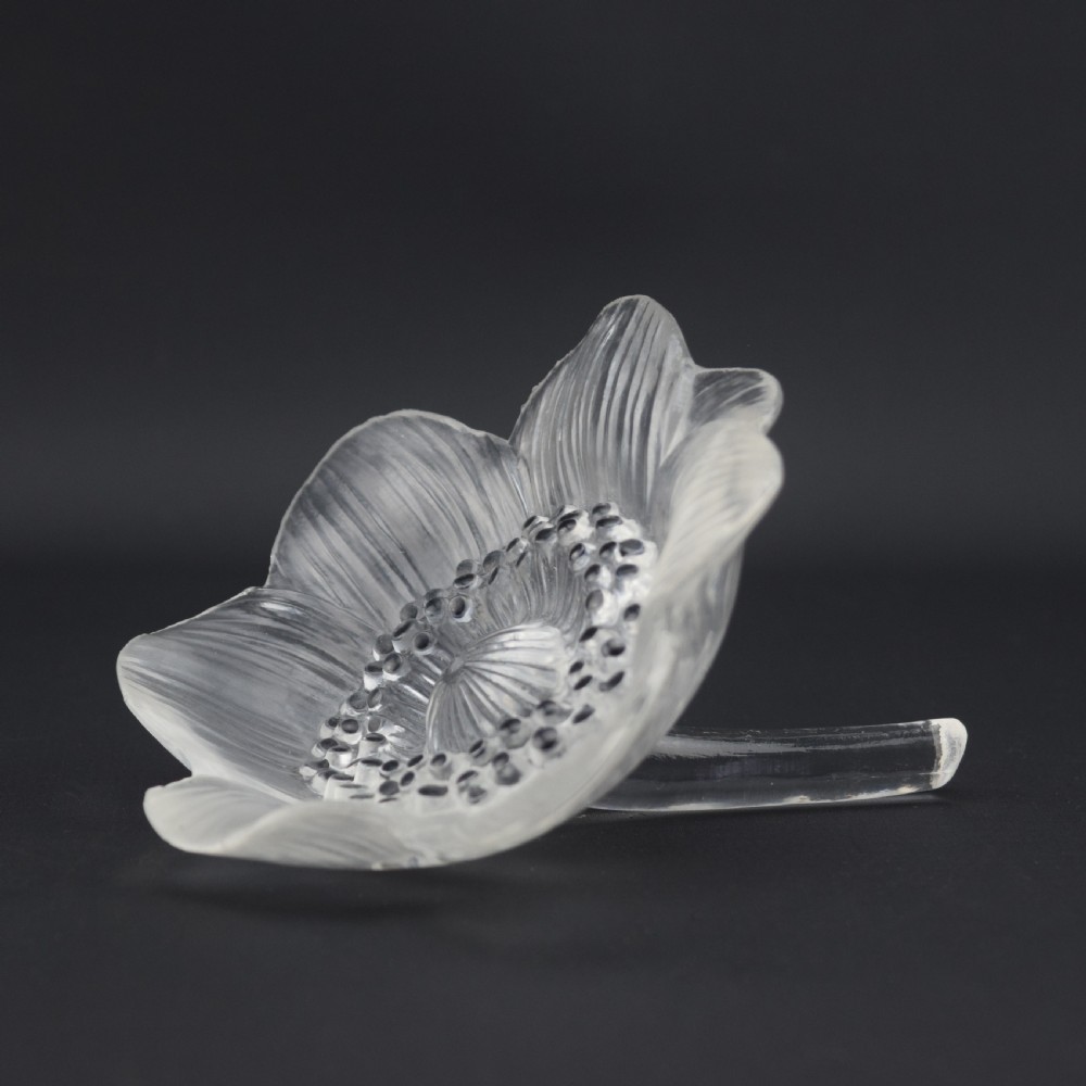 RENE LALIQUE ANEMONE FLOWER PAPERWEIGHT C1931 View V