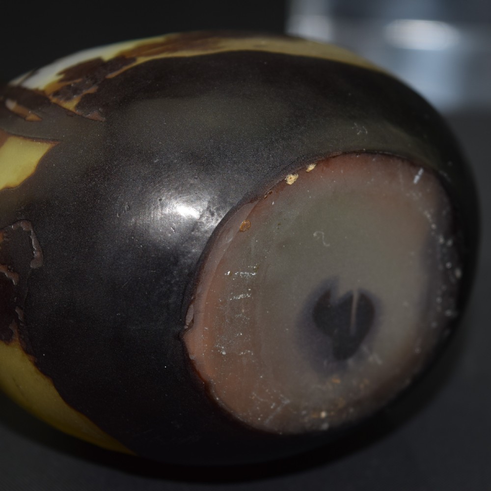 Galle cameo glass landscape banjo vase C1900 View V