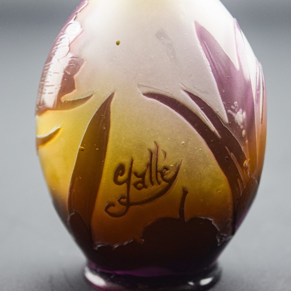 Rare Galle Cameo glass vase Crocus & butterfly C1910 View VII