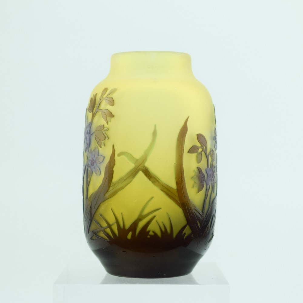 Pretty Galle cameo window pane effect vase C1920 View III