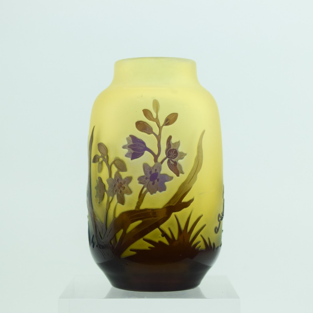 Pretty Galle cameo window pane effect vase C1920 View IV
