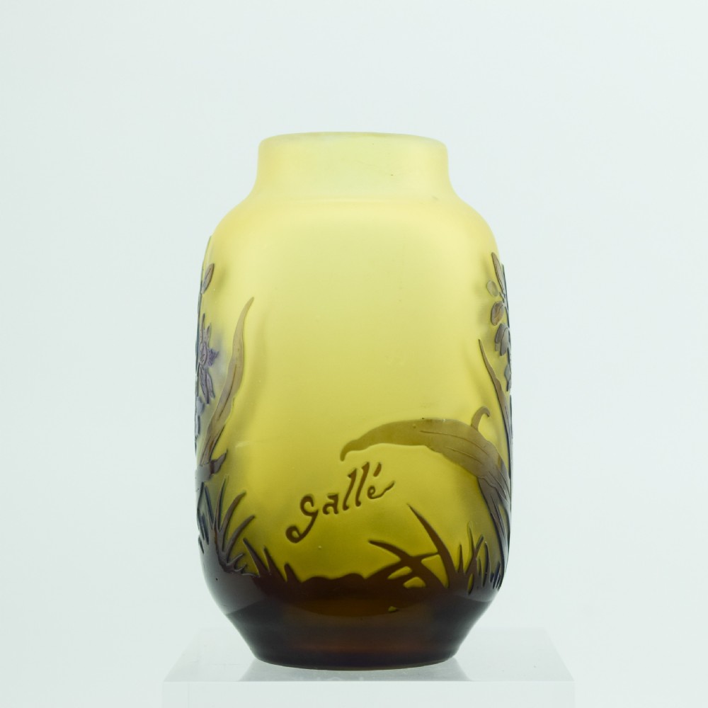 Pretty Galle cameo window pane effect vase C1920 View V