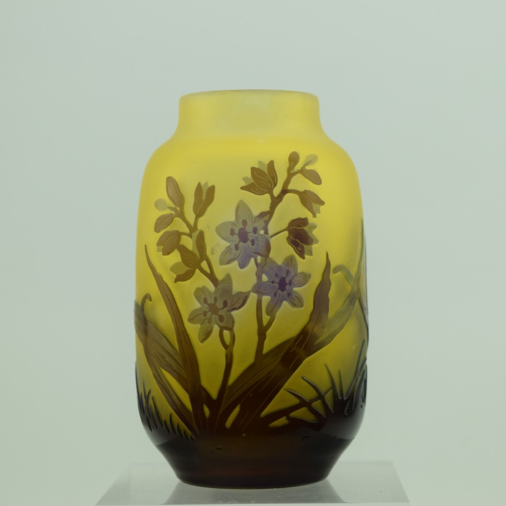 Pretty Galle cameo window pane effect vase C1920 View X