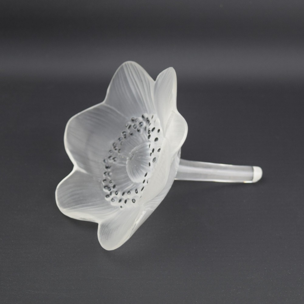 Rene Lalique Anemone ouverte flower paperweight C1931