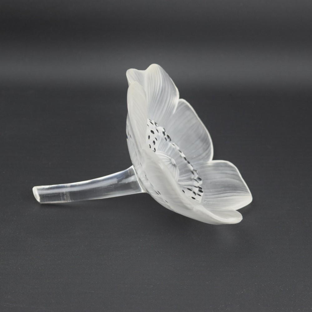 Rene Lalique Anemone ouverte flower paperweight C1931 View IV