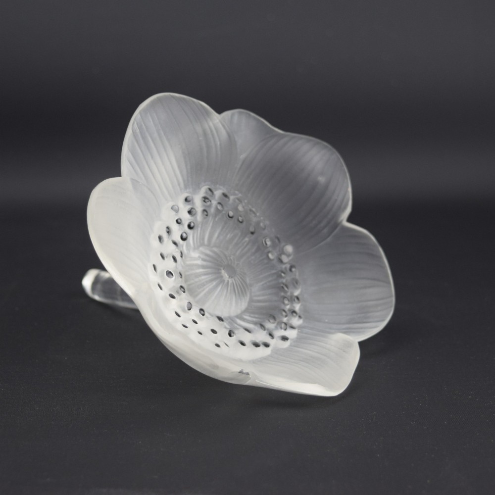 Rene Lalique Anemone ouverte flower paperweight C1931 View VII