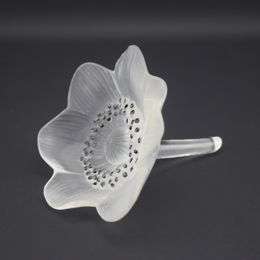 A Rene Lalique frosted clear glass paperweight shaped as an open anemone flower with black enamelled central detail.
