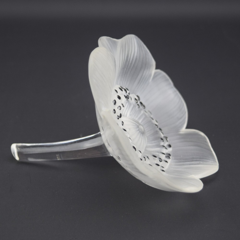 A Rene Lalique frosted clear glass paperweight shaped as an open anemone flower with black enamelled central detail. View II