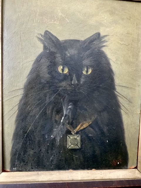 Black Cat Naive School Oil on Board