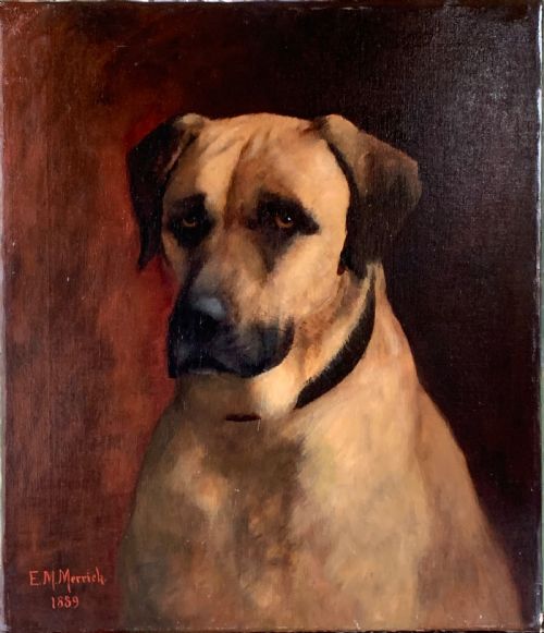 Portrait of a Dog